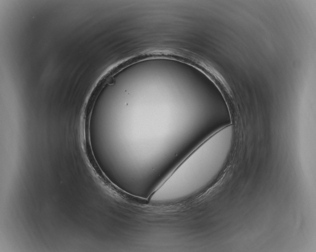 X0000116610984200912111130
