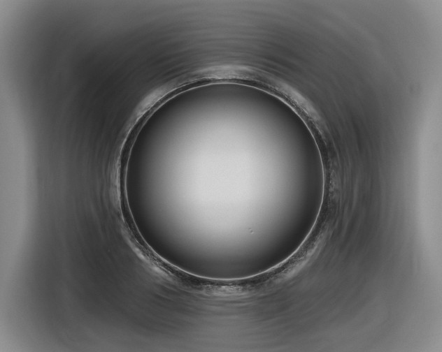 X0000116610986200912111130