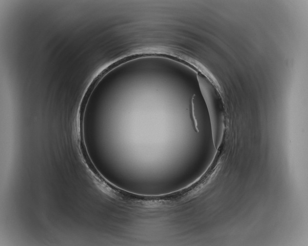 X0000116610988200912111130