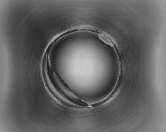X0000116610989200912111130