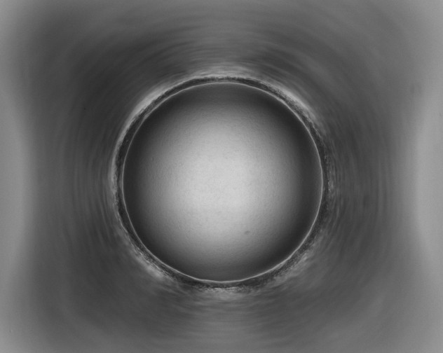X0000116610990200912111130