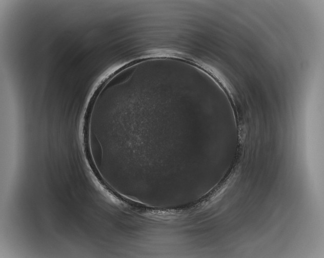 X0000116610995200912111130