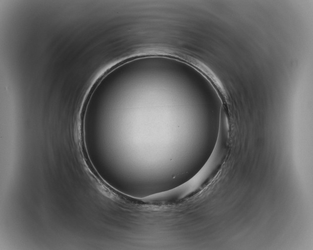 X0000116610996200912111130
