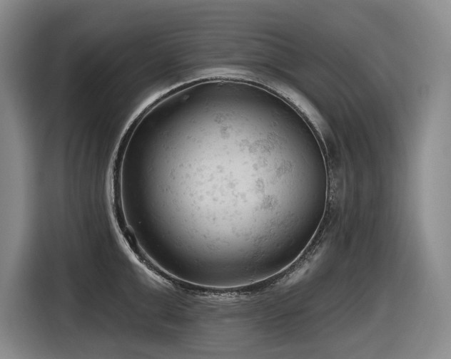X0000116610999200912111130