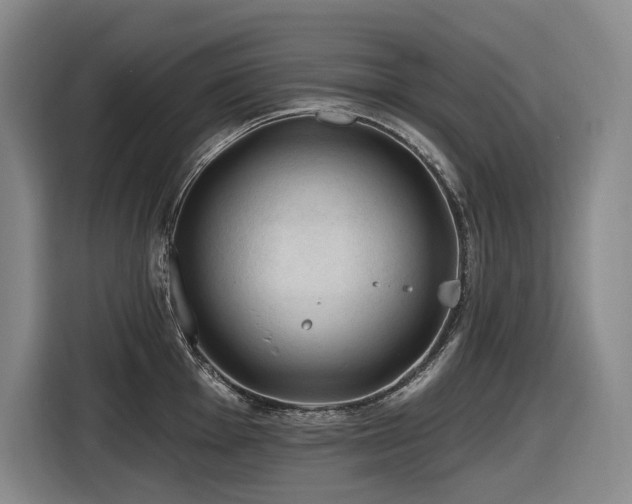X0000116611001200912111130