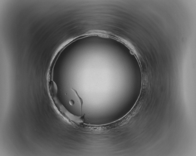 X0000116611003200912111130
