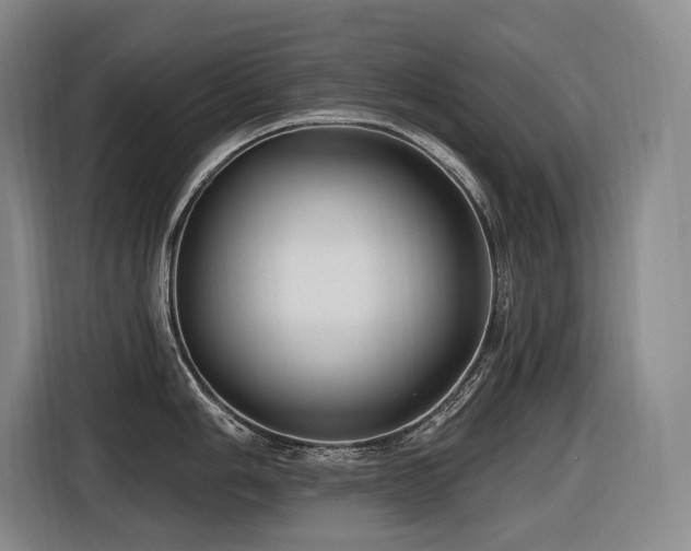 X0000116611006200912111130