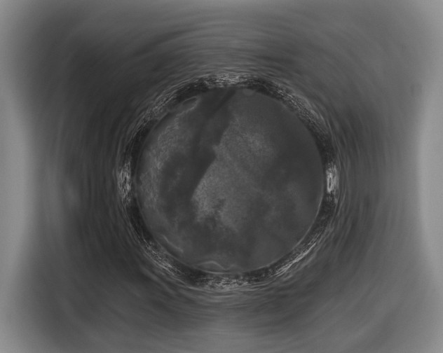 X0000116611011200912111130