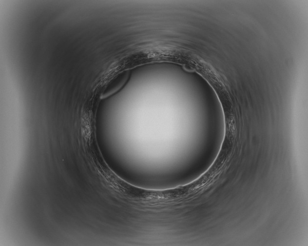 X0000116611012200912111130
