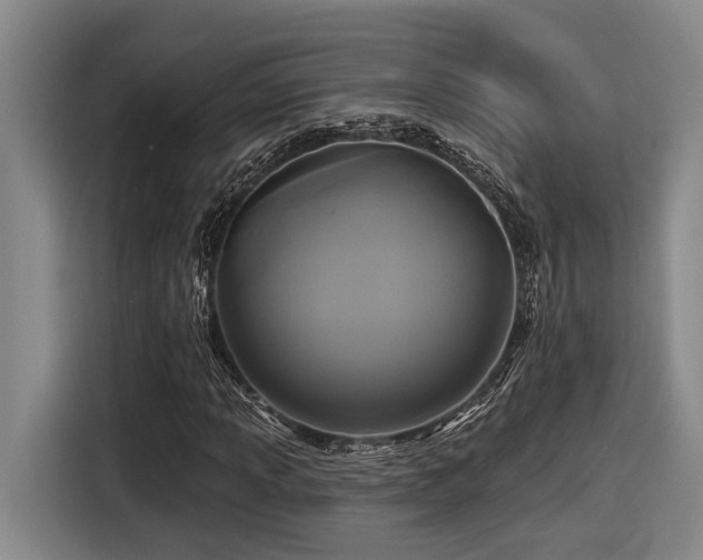 X0000116611013200912111130