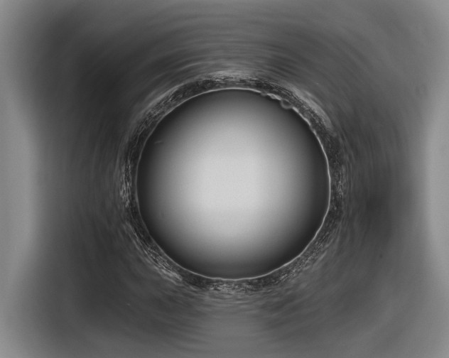 X0000116611015200912111130