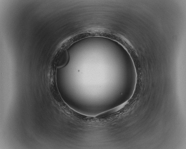 X0000116611016200912111130