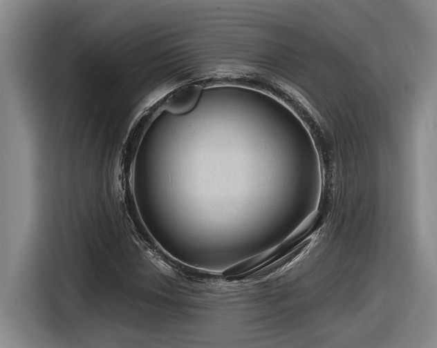 X0000116611018200912111130