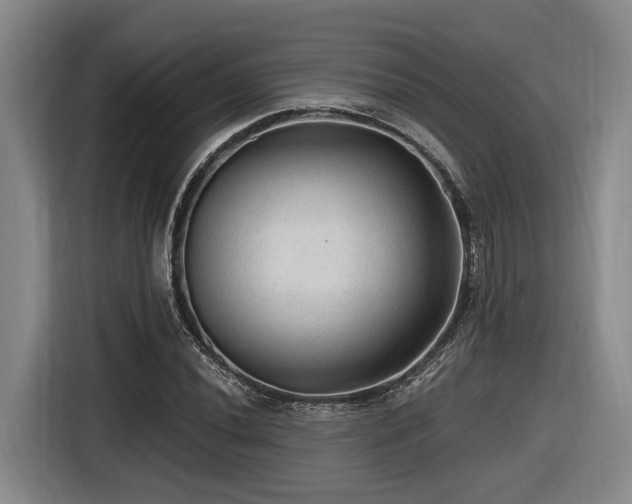 X0000116611020200912111130