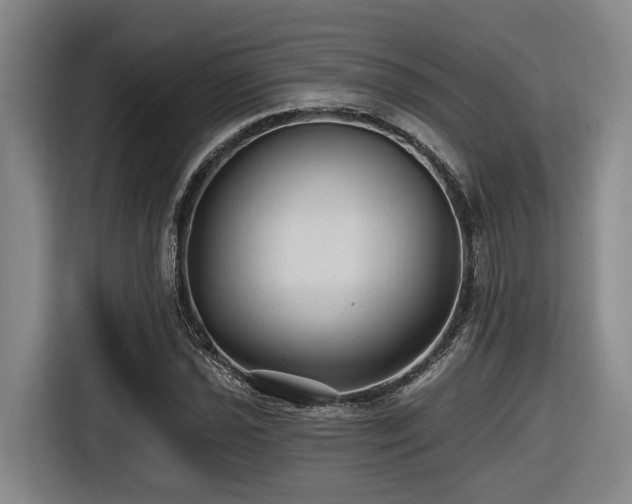 X0000116611021200912111130