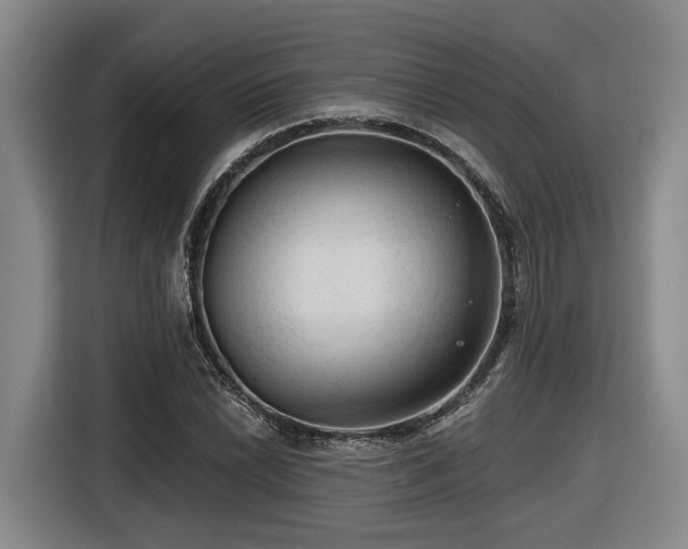 X0000116611022200912111130