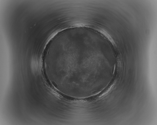 X0000116611023200912111130