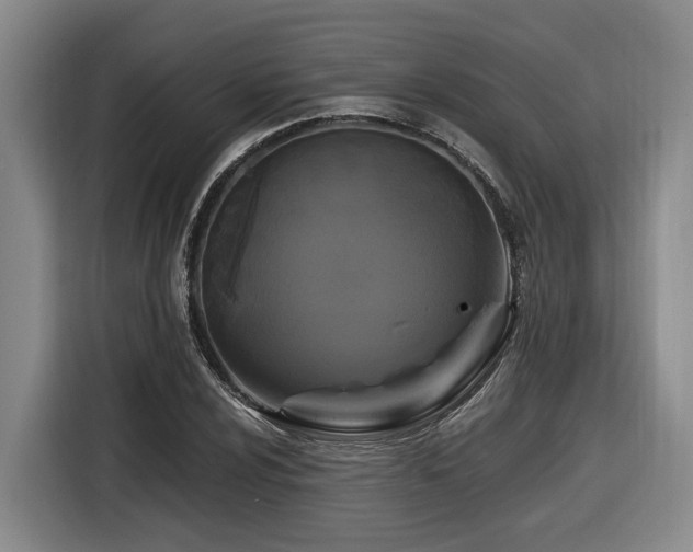 X0000116611024200912111130