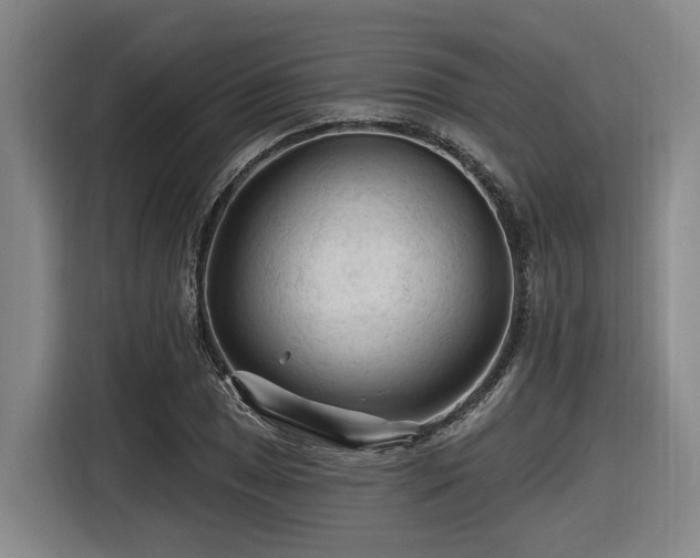 X0000116611025200912111130