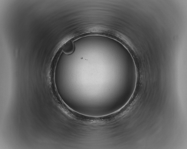 X0000116611026200912111130