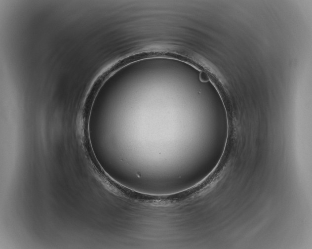 X0000116611029200912111130