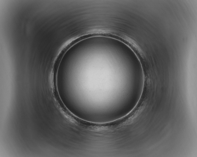 X0000116611030200912111130