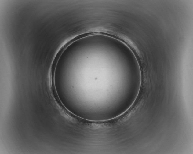X0000116611032200912111130
