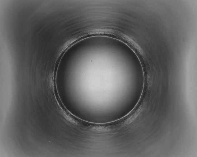 X0000116611033200912111130