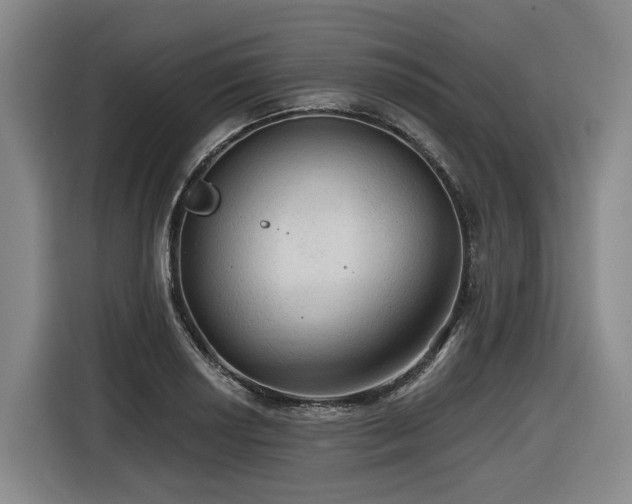 X0000116611034200912111130