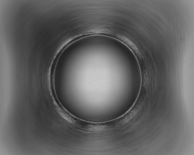 X0000116611039200912111130