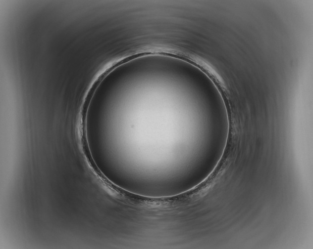 X0000116611040200912111130
