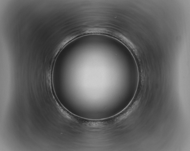X0000116611041200912111130