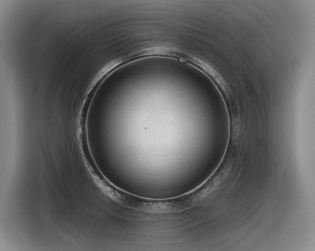 X0000116611042200912111130