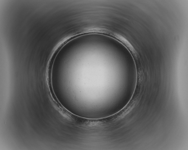 X0000116611043200912111130