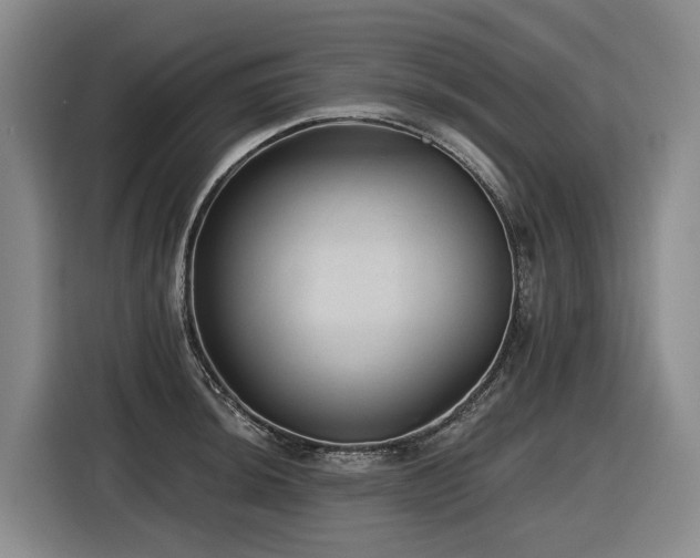 X0000116611044200912111130