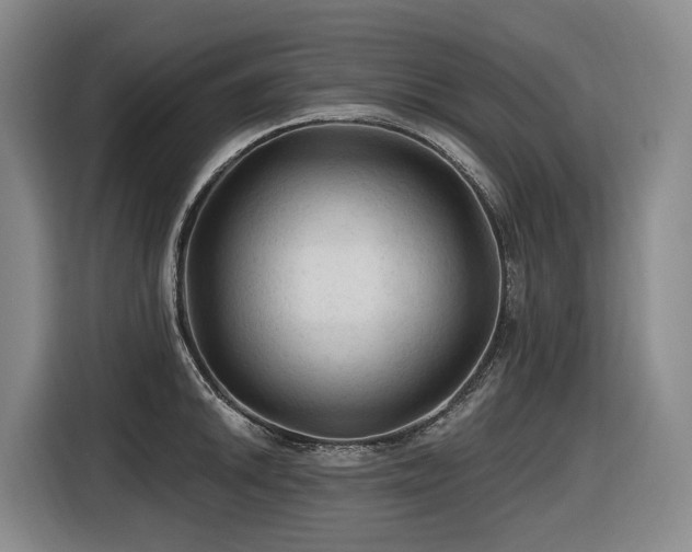 X0000116611046200912111130