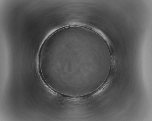 X0000116611048200912111130