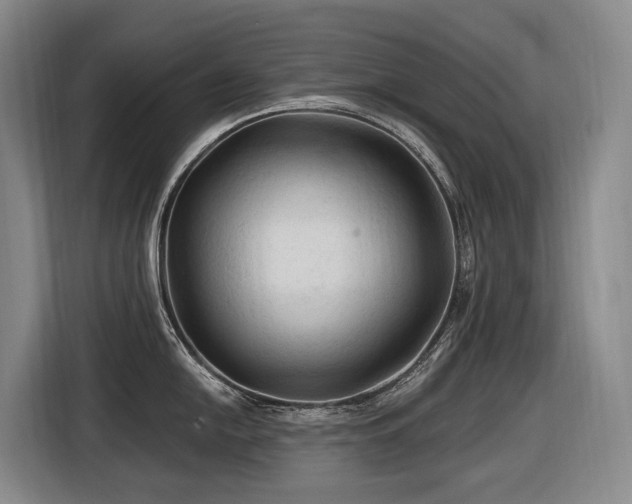 X0000116611054200912111130