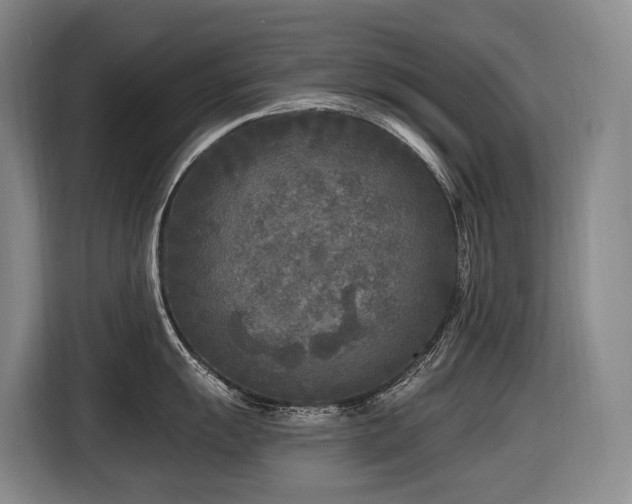 X0000116611055200912111130