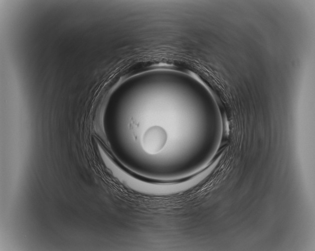 X0000116611057200912111129