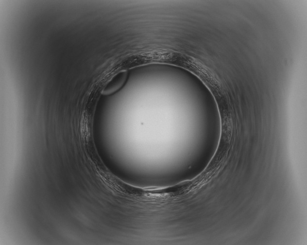 X0000116611058200912111129