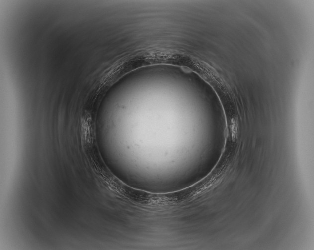 X0000116611059200912111129