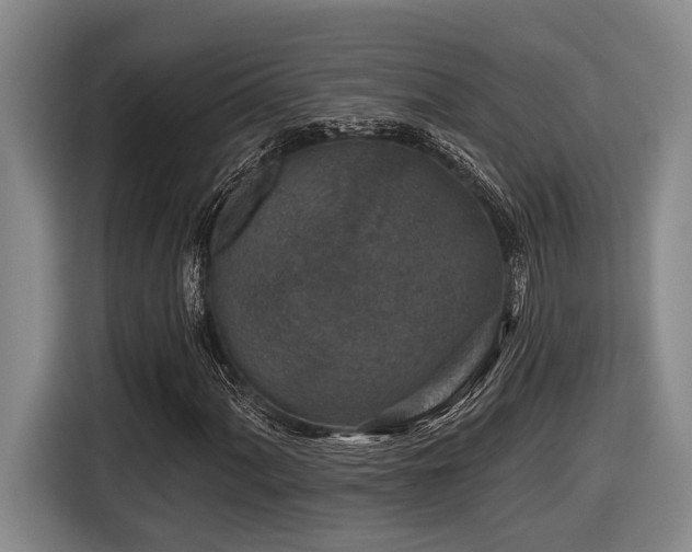 X0000116611060200912111129