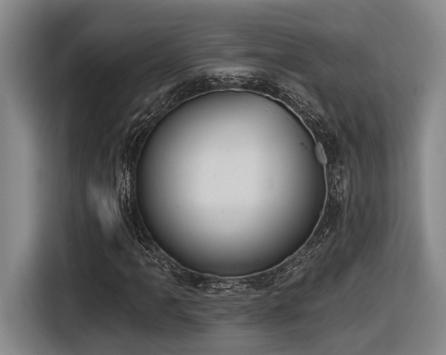 X0000116611061200912111129