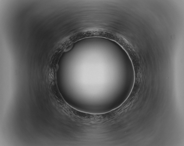 X0000116611062200912111129