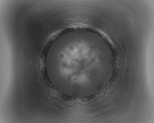 X0000116611063200912111129