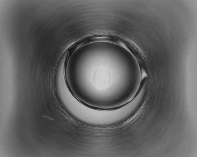 X0000116611065200912111129