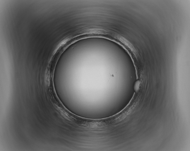 X0000116611067200912111129