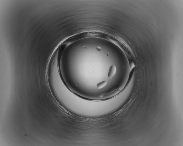 X0000116611068200912111129