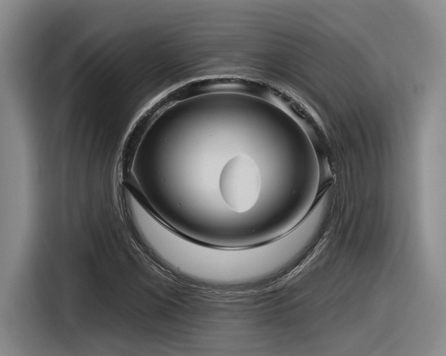 X0000116611069200912111129